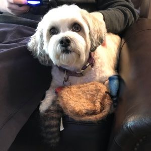 Meet your Posher, Lisa